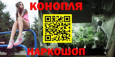 ешки Можга