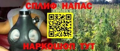 mdpv Можайск